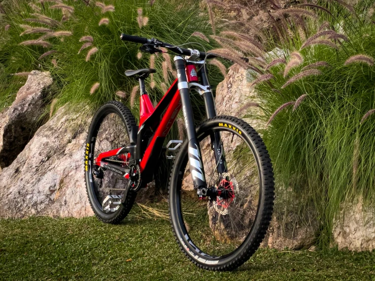 a bike leans against a rock formation with green grass