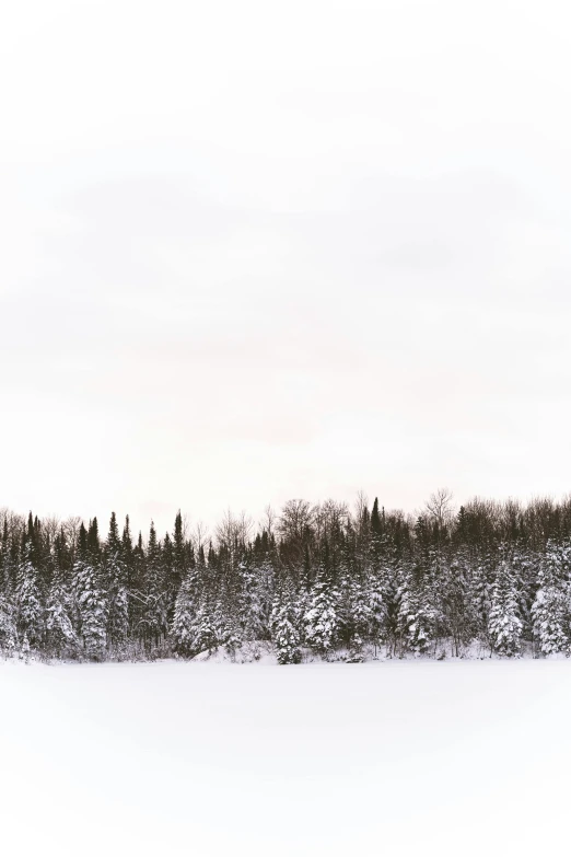 the picture is black and white and it looks like the sky has snow