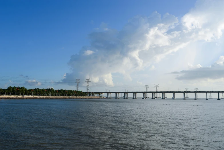 a very large bridge over a lake near a forest