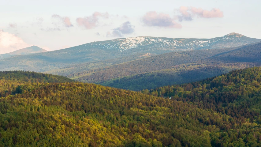 a mountain range with lots of trees and snow on the top