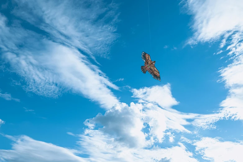 two kites are flying through the blue sky