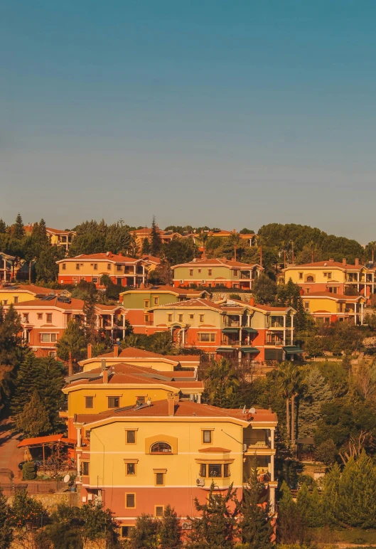 a village with many houses and some trees