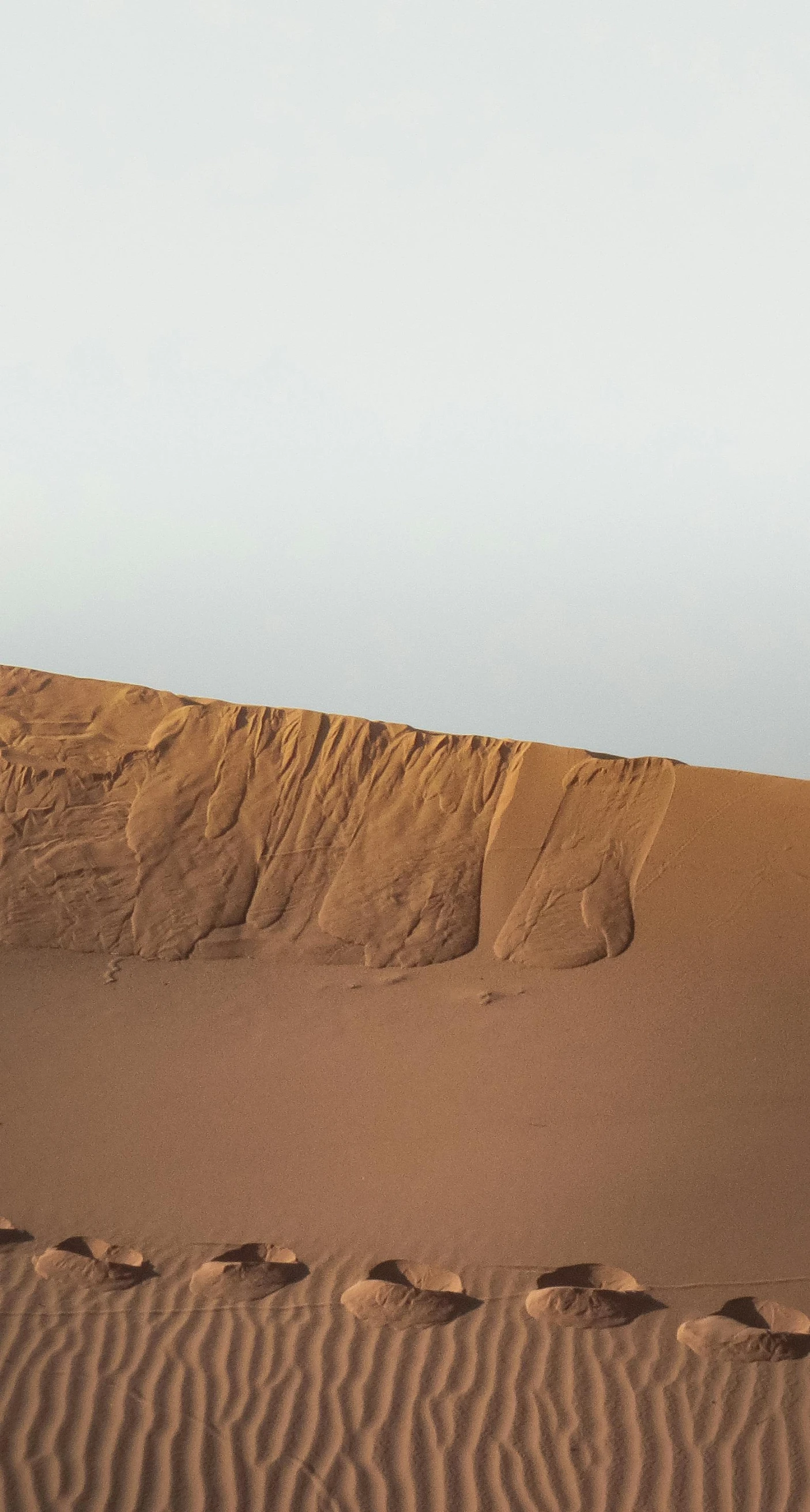 man walking up a desert dune with a camel