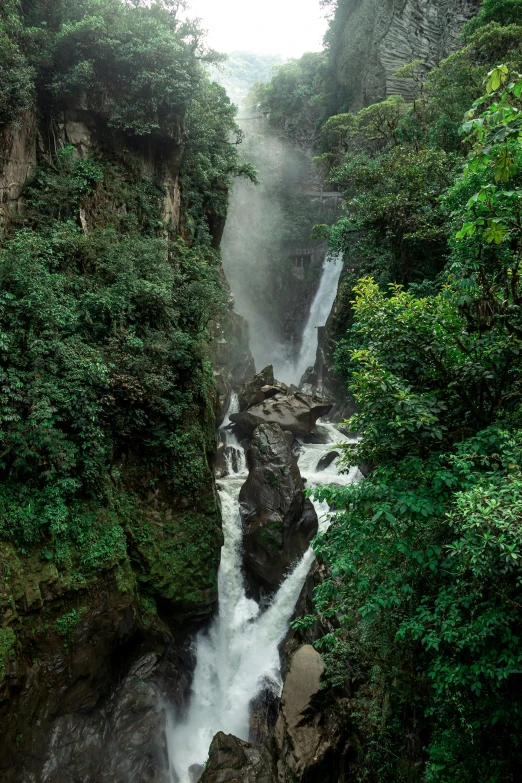 a waterfall in a tropical setting surrounded by trees