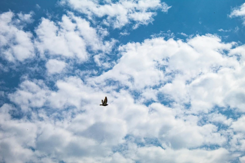 an airplane flying high in the sky and white clouds