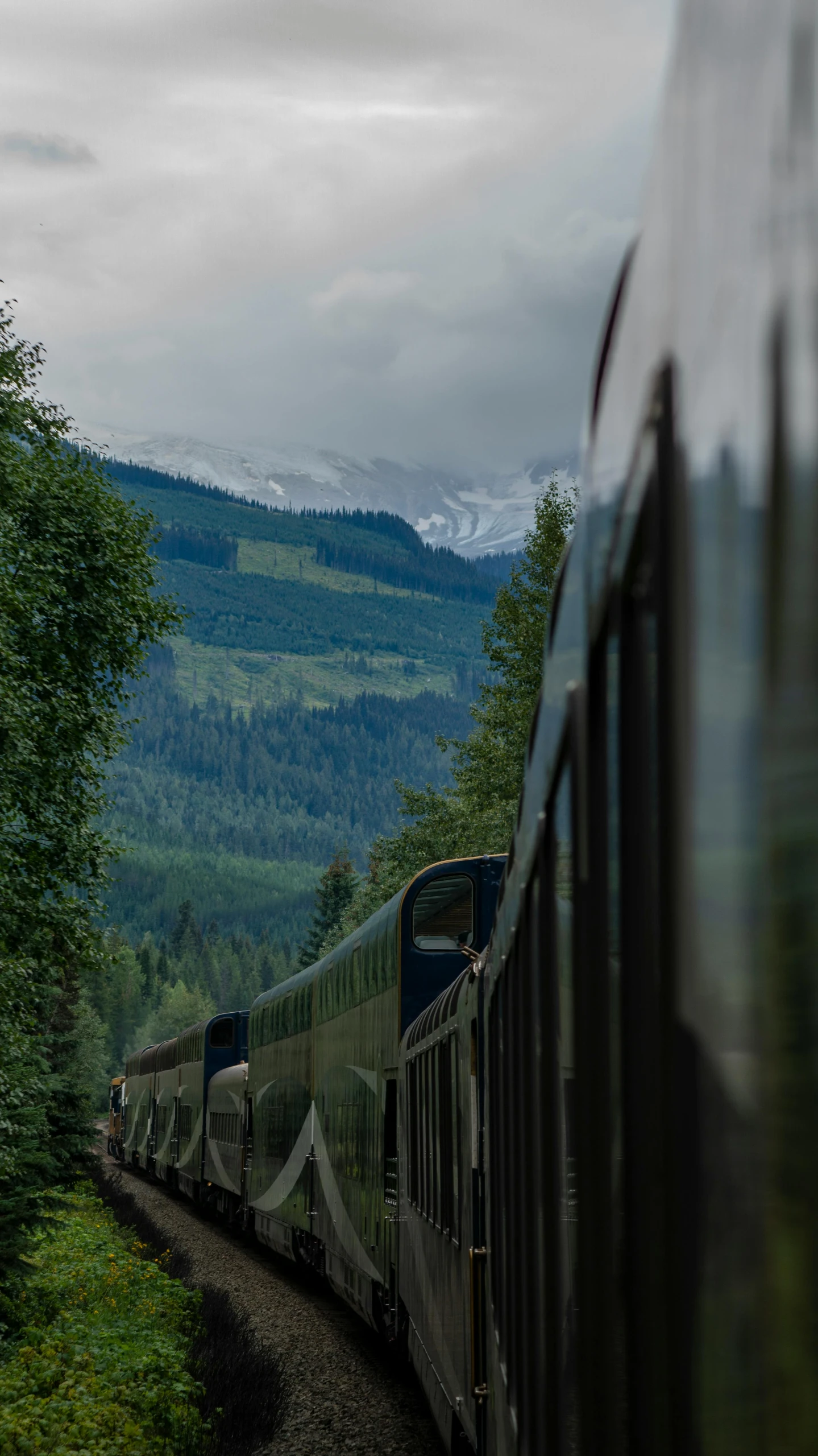 a passenger train going down the tracks near a wooded area