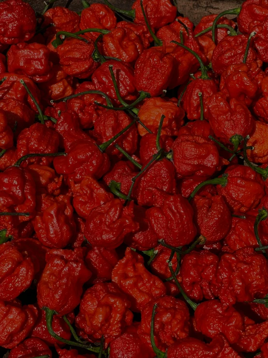 a large pile of red peppers sitting next to each other