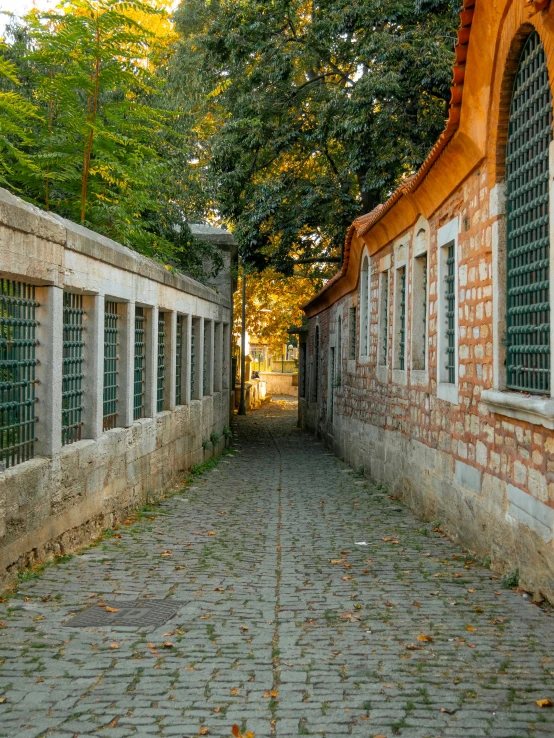 narrow walkway made of brick and stone has window openings