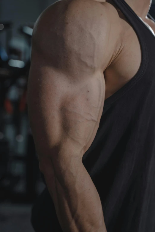 close up on a man's torso in a gym