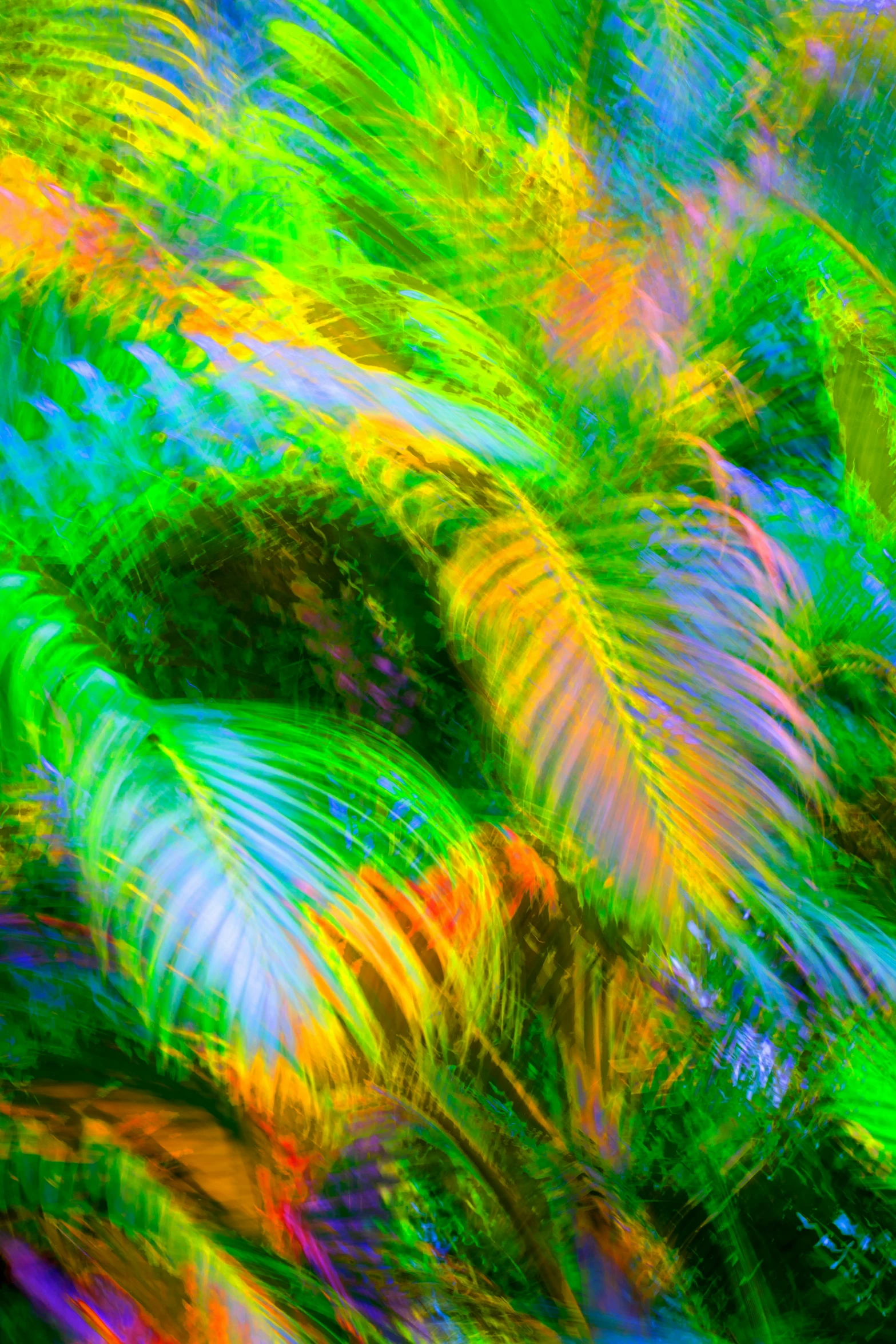 a abstract blurry po shows green, orange, and blue plants