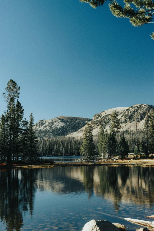 the view of a lake near a forest