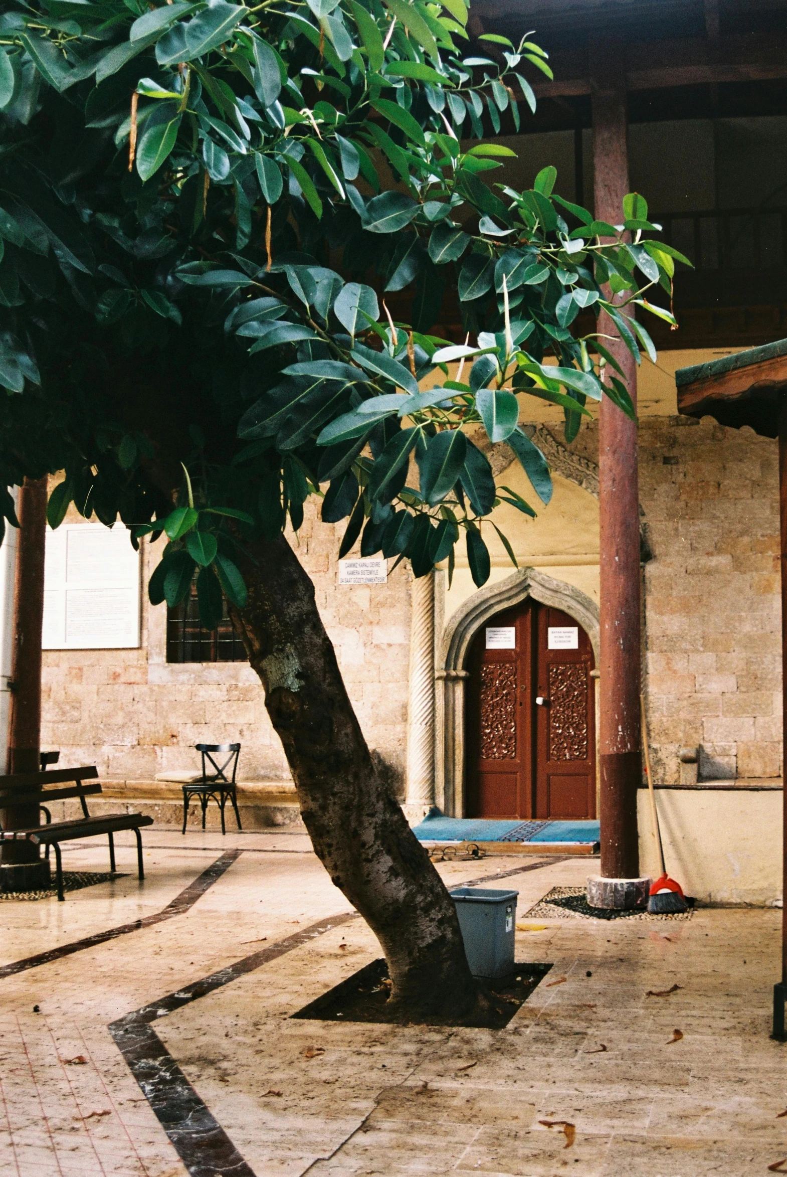 an empty patio with furniture and a tree in the middle