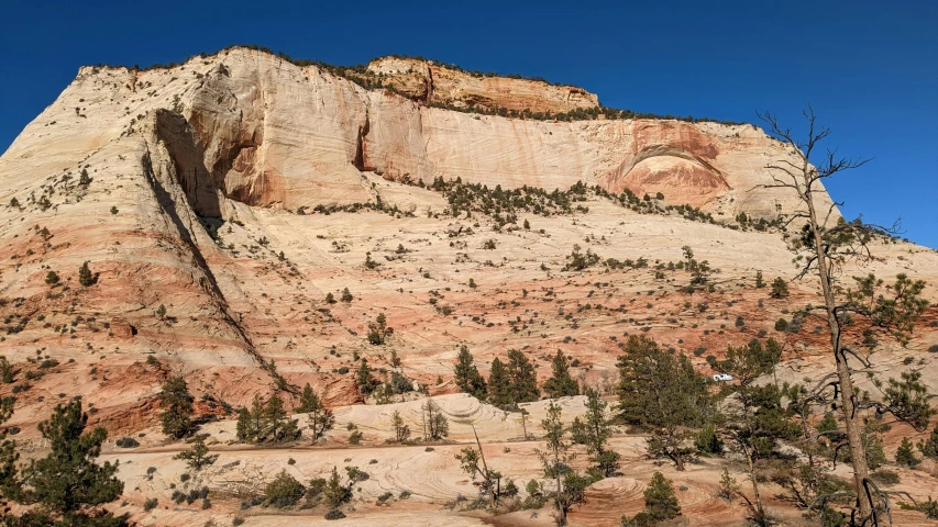 the cliffs are red and tan, while the trees below are green