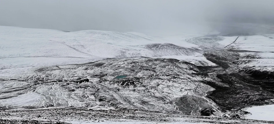 some cattle in the mountains during the day