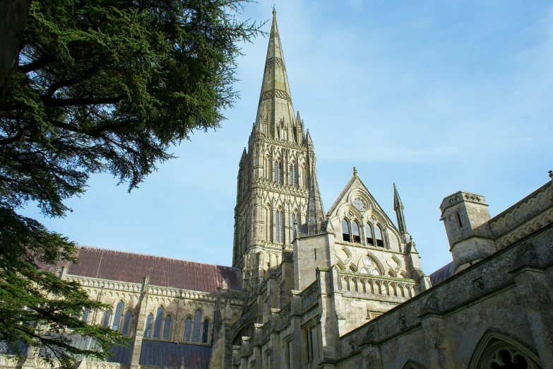 cathedral with stone exterior and trees in foreground