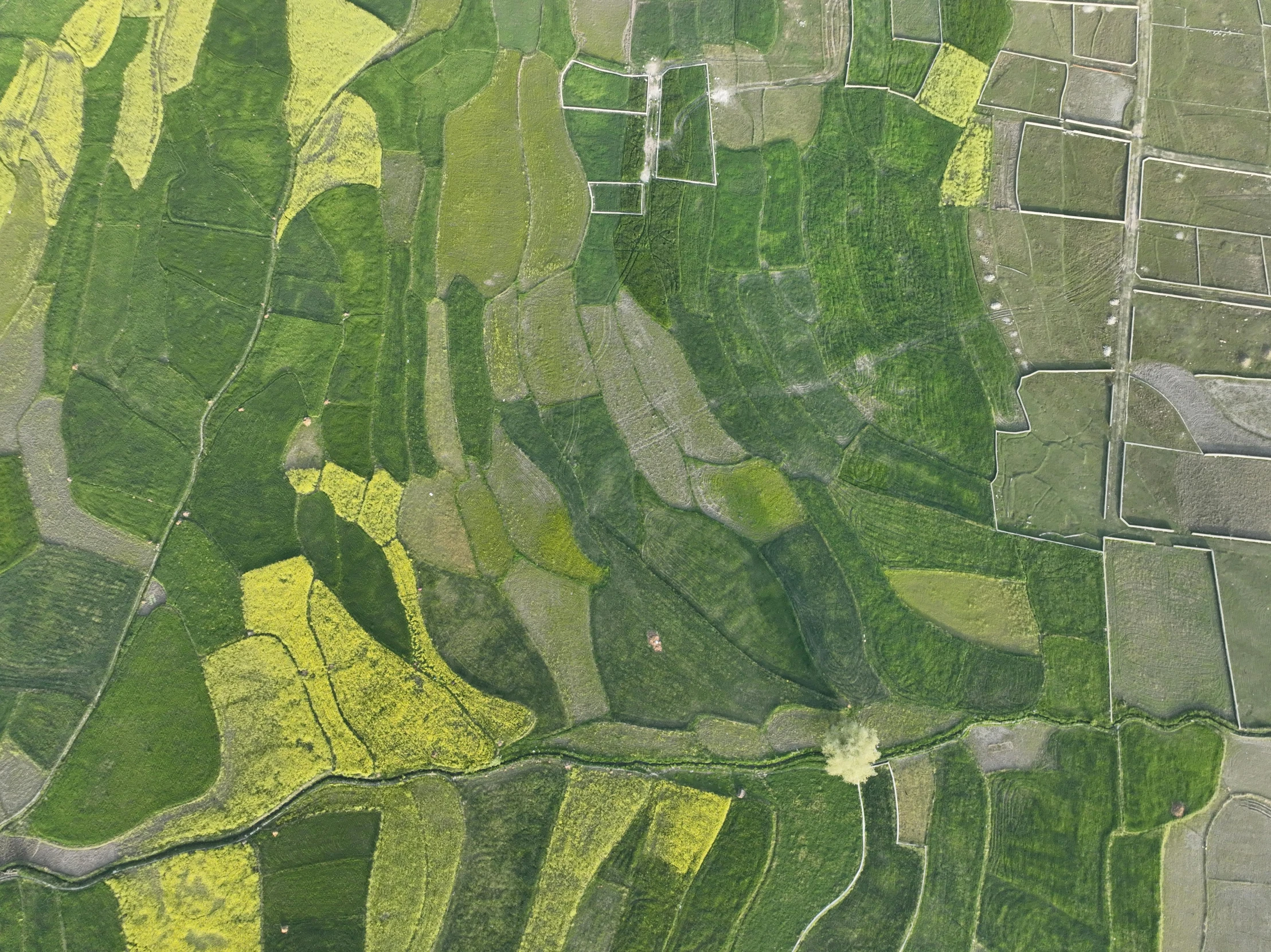 the aerial view of fields and grass from above