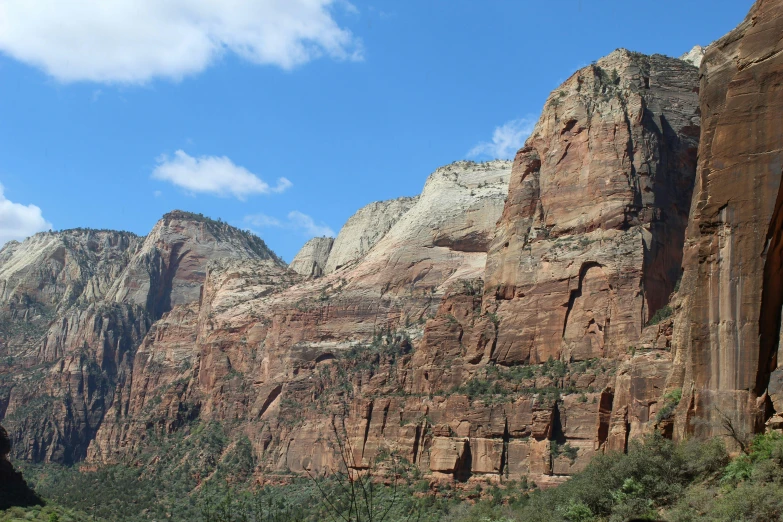 the rocks are covered in green and thick vegetation