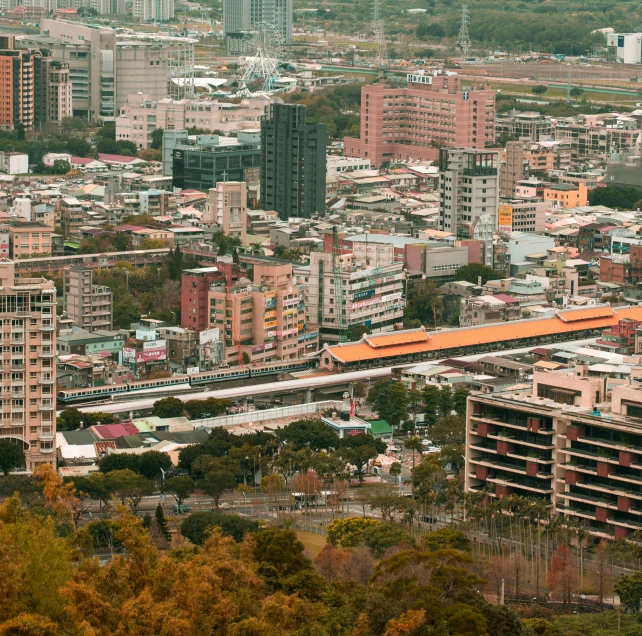 the city has buildings, a train, and a green roof