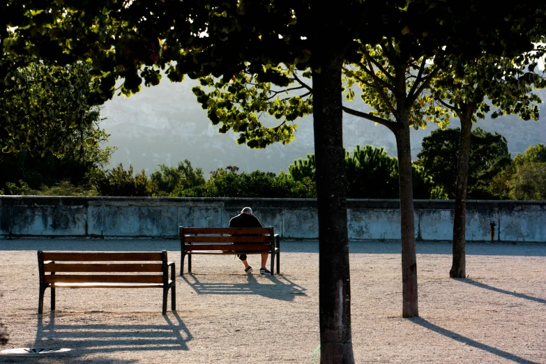 a person sitting on a bench near two trees