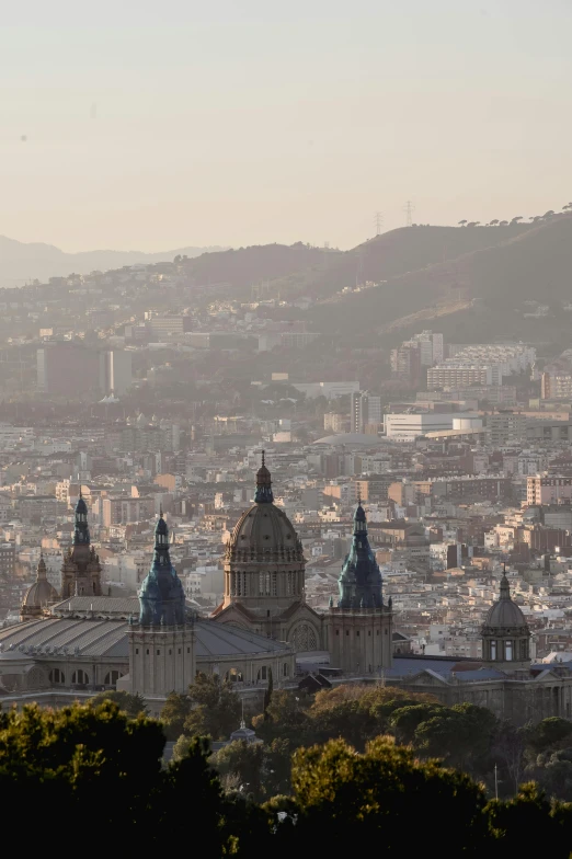 a bird flies over the tops of buildings in the city