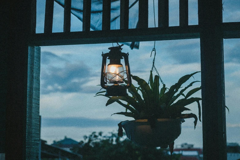 a picture of a hanging lantern with potted plants on the side