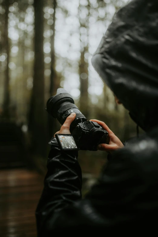 a person is taking pictures in a forest