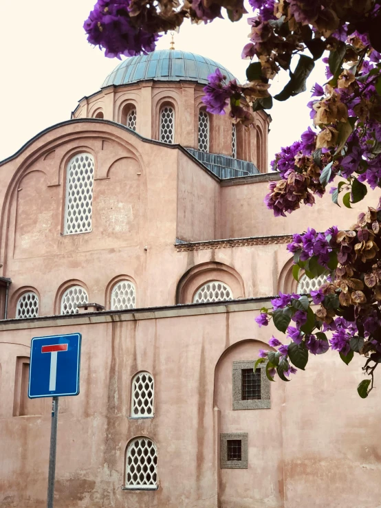 there is a building that has purple flowers growing on the roof