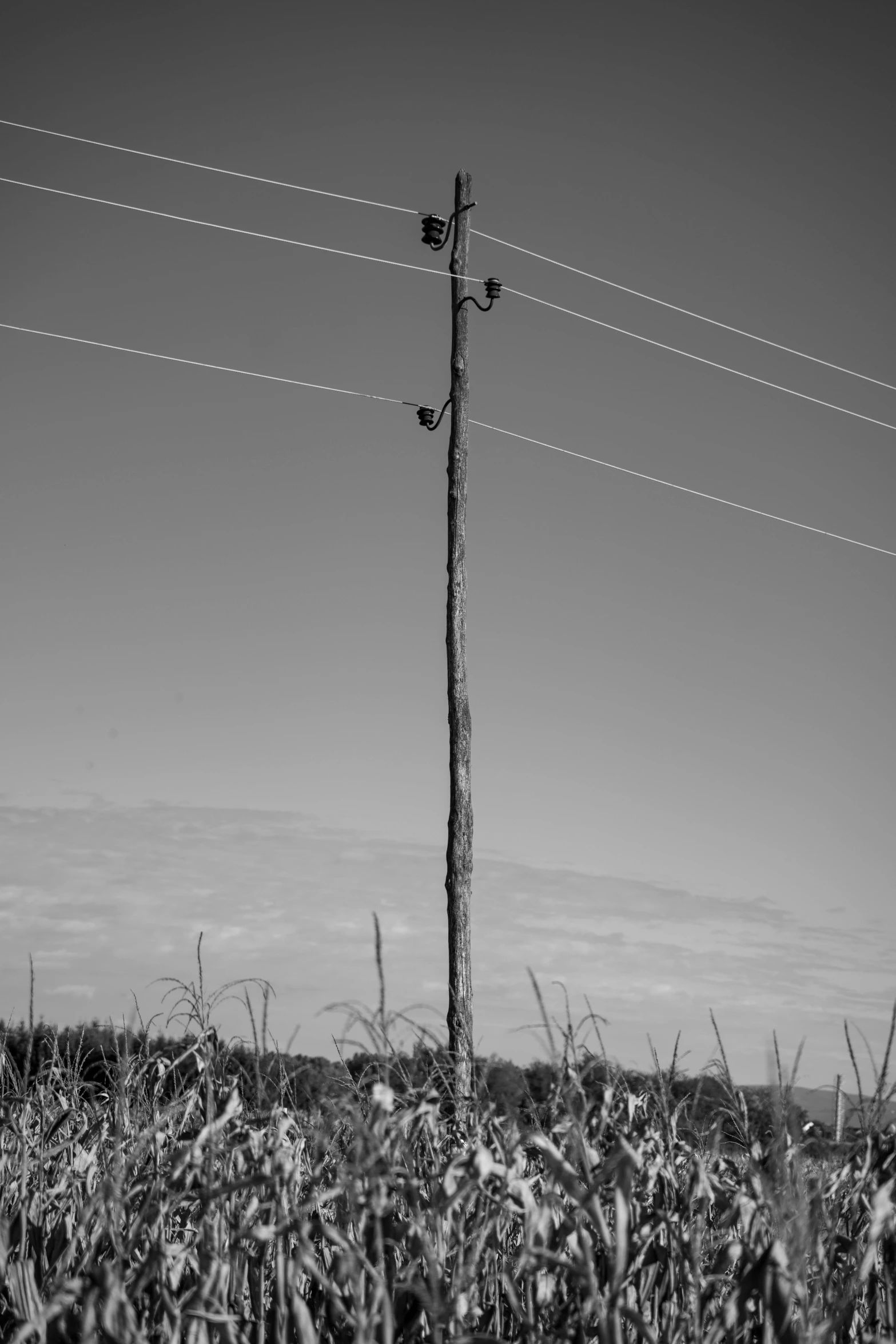 there is a large electric pole in the middle of this field