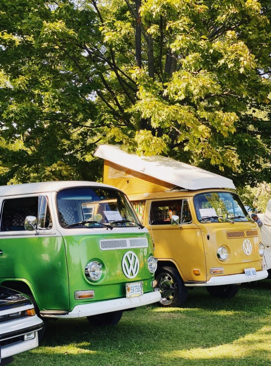 three old time vw bus sitting in a field