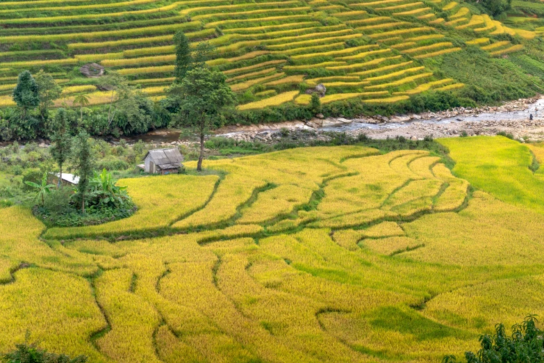 a very large wide valley with a small river flowing through it