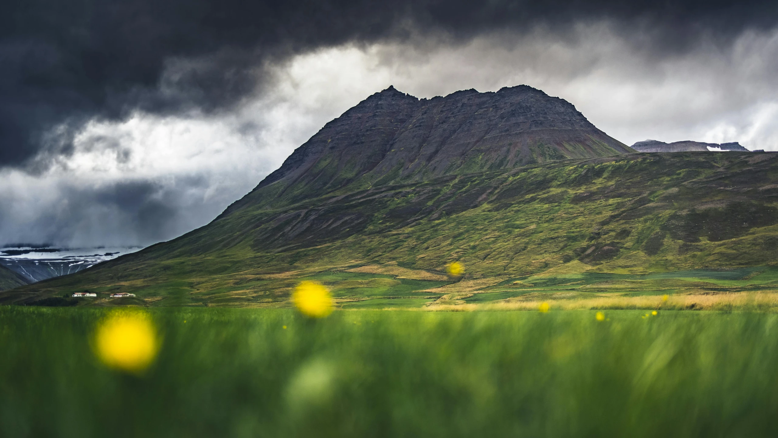 green grass and yellow flowers with storm clouds looming over