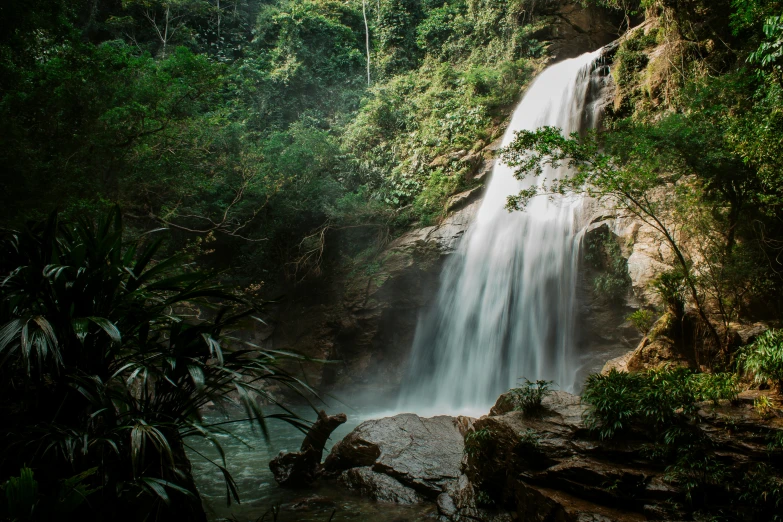 the waterfall in the middle of the rainforest is made of water