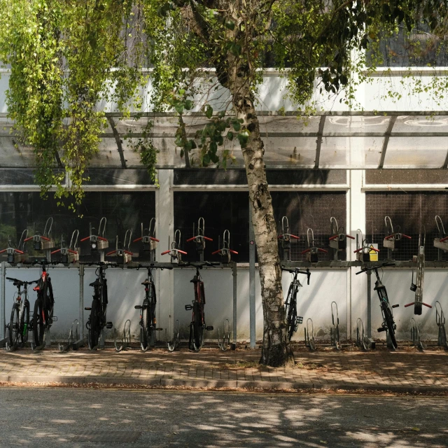 a row of bicycles and bicycles parked in front of a building