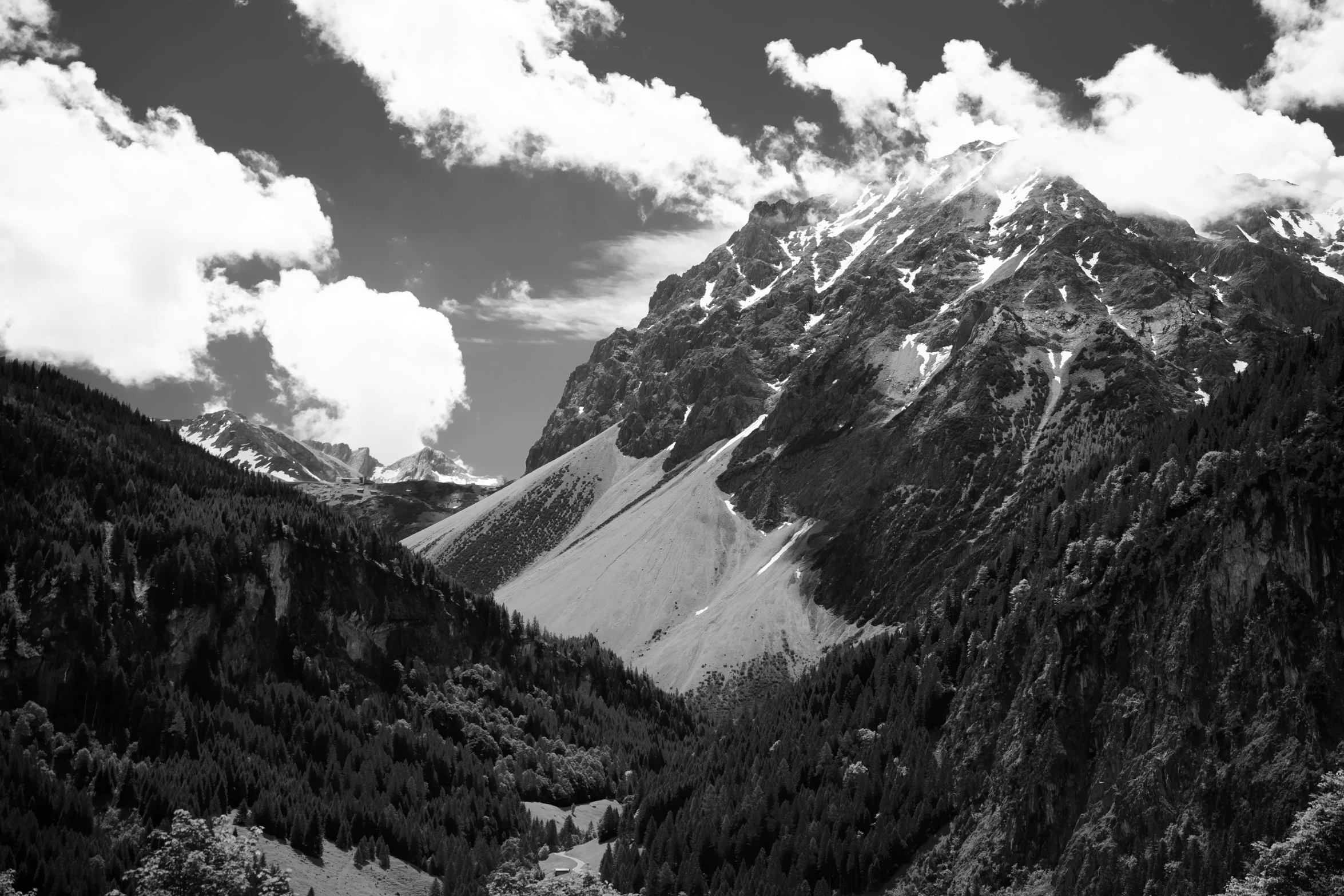 a black and white po of mountains and trees