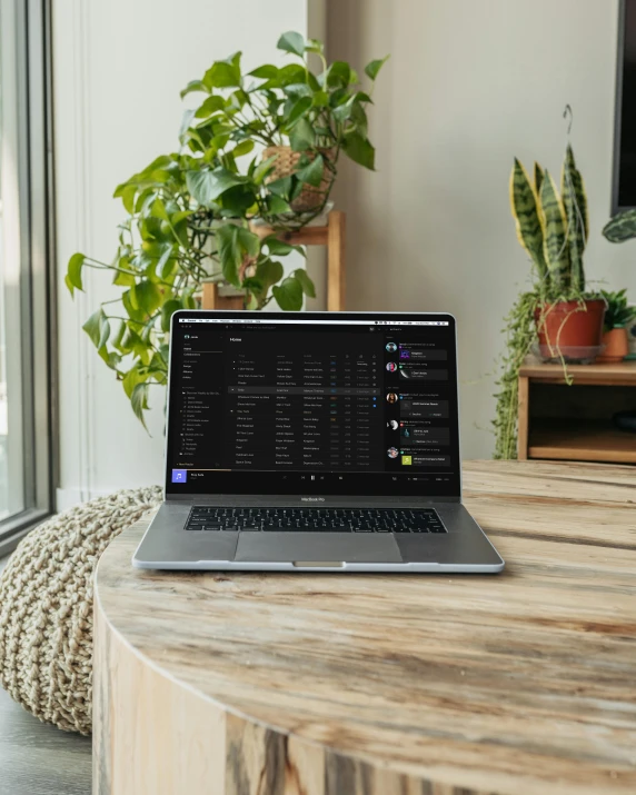 laptop open on table with potted plant next to it