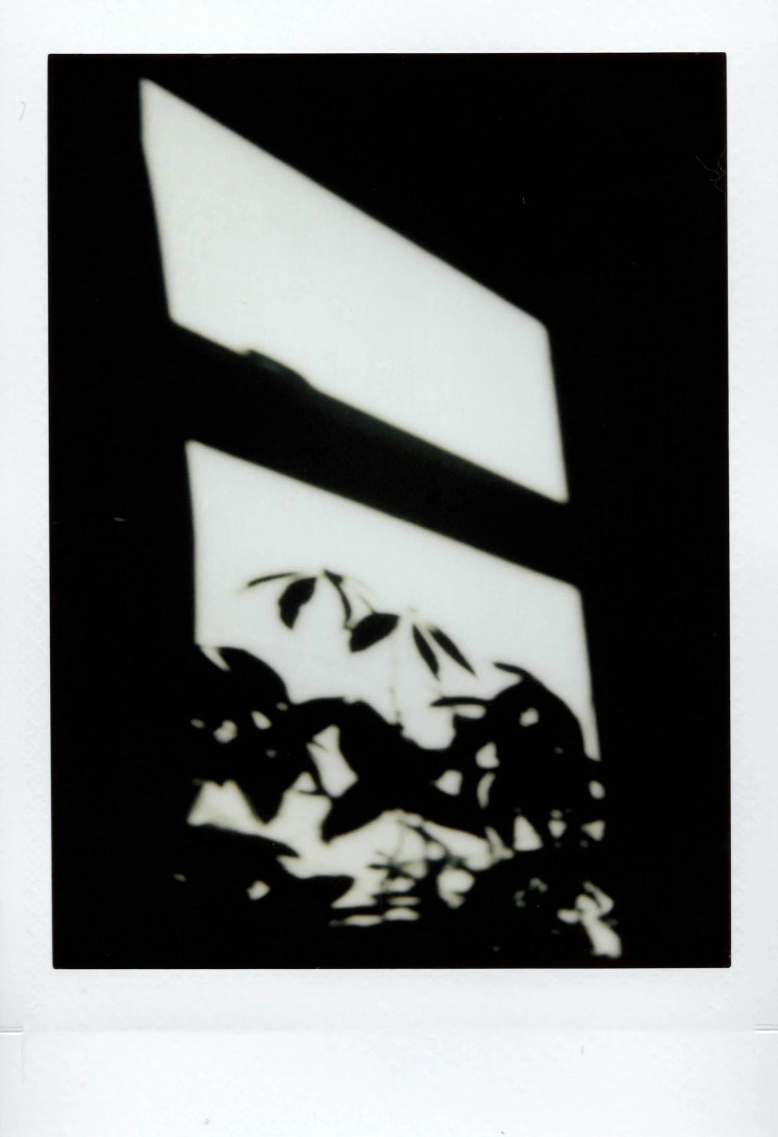 a window is shown with leaves, and an object above it