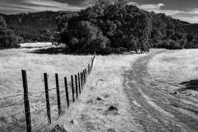 black and white po of a dirt road with a fence surrounding it