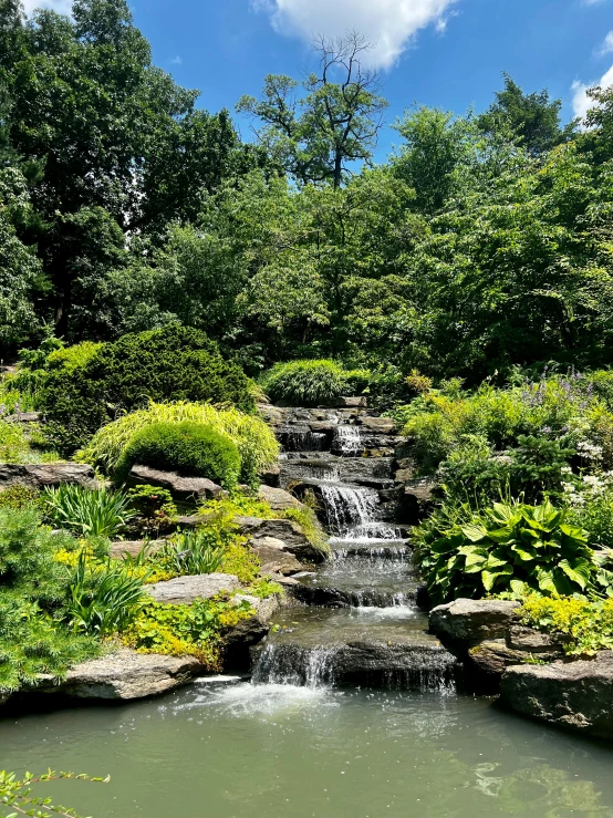 there is a small water fall surrounded by rocks and plants