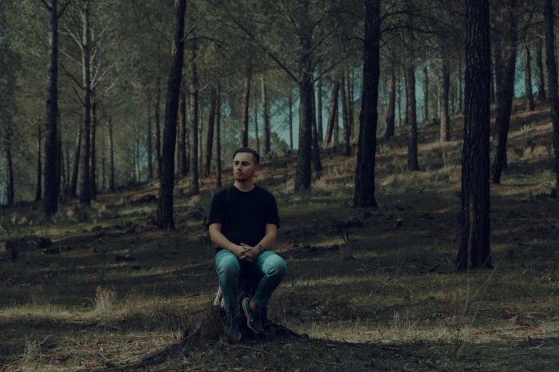 a man sits on a tree stump in the woods