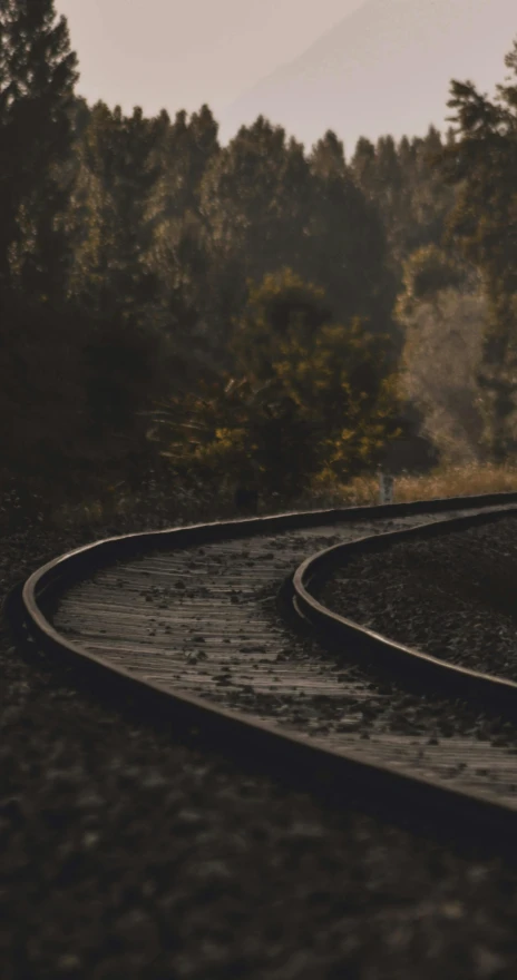 three curved railroad tracks in the middle of a forest
