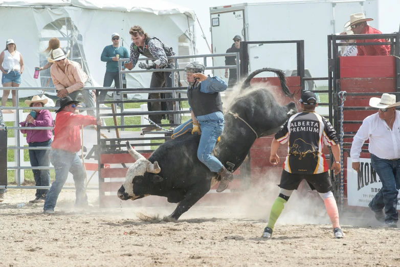 a man is falling off of a black bull