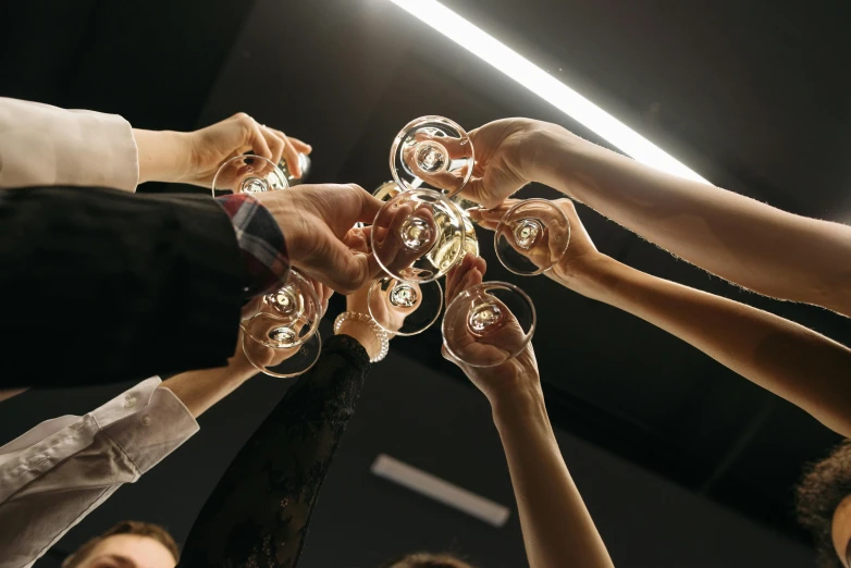 five people toasting with wine glasses in the air