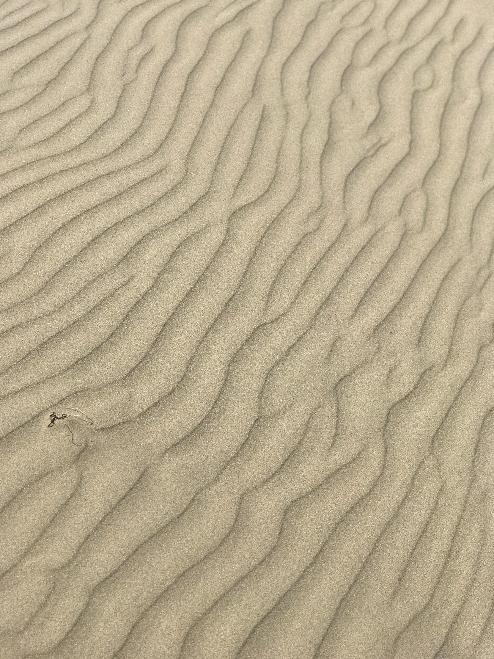 sand pattern with small lines in the middle