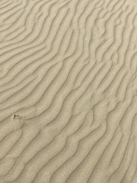 sand pattern with small lines in the middle