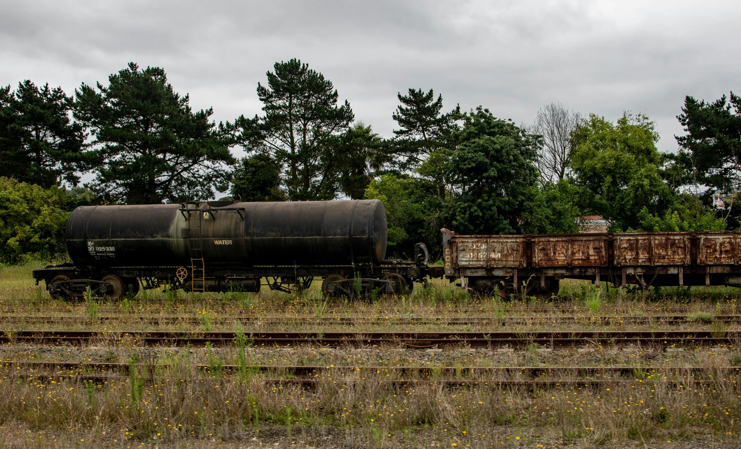 a train carrying coal cars on tracks in the woods