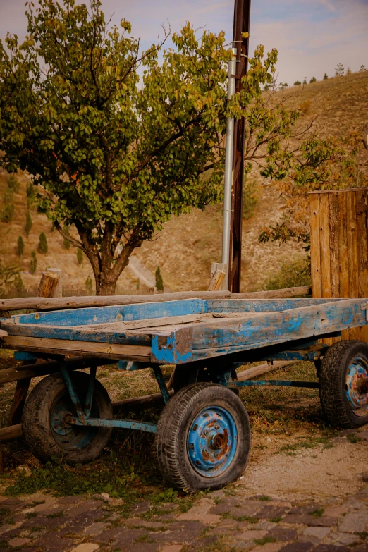 an old wagon parked outside near some trees