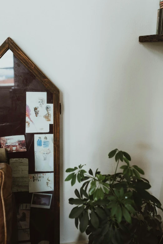 an office with a plant in the corner