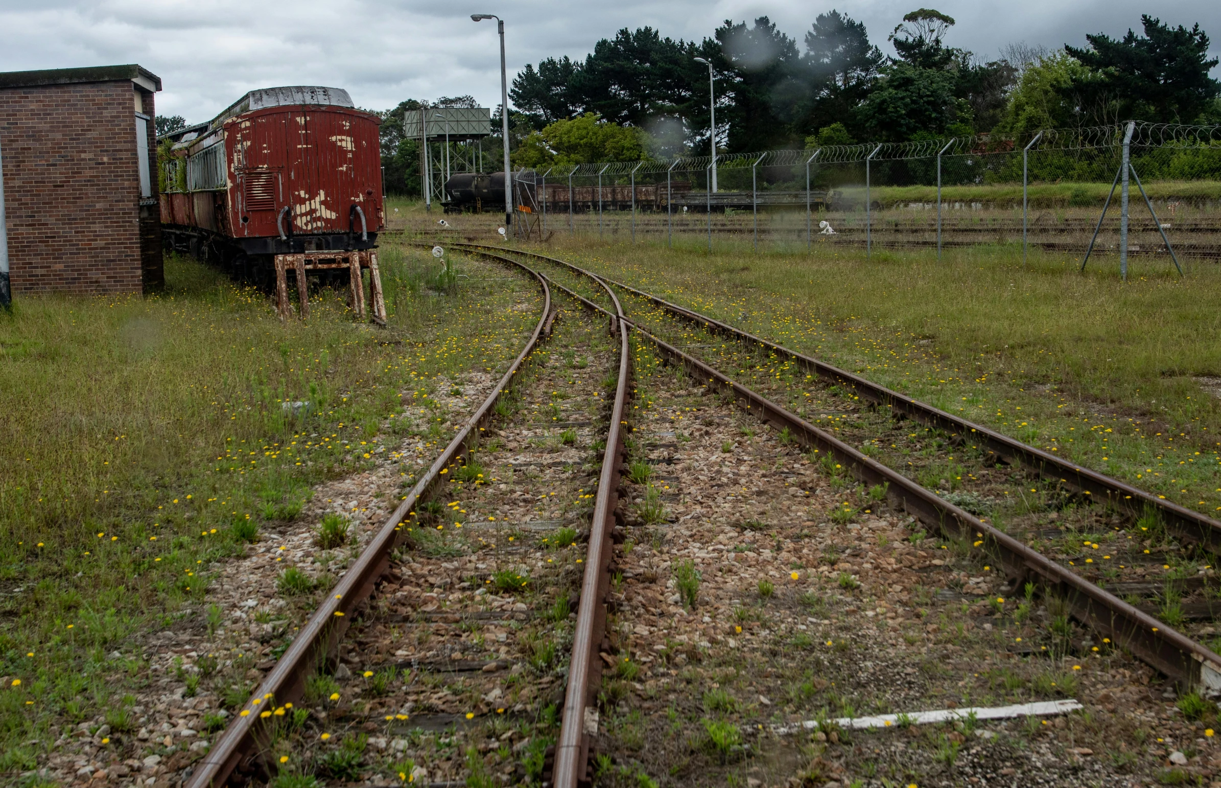 the train is traveling through an open field