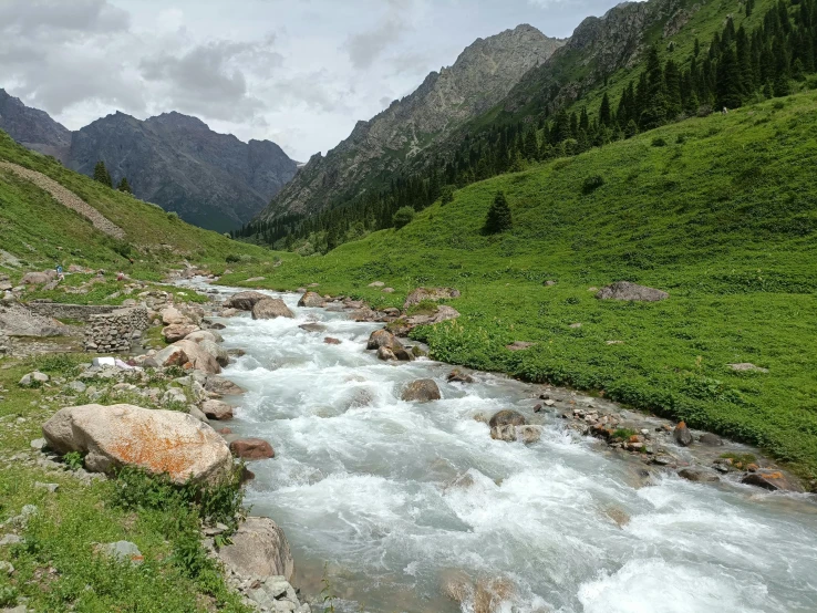 stream in the wilderness with grass and rock