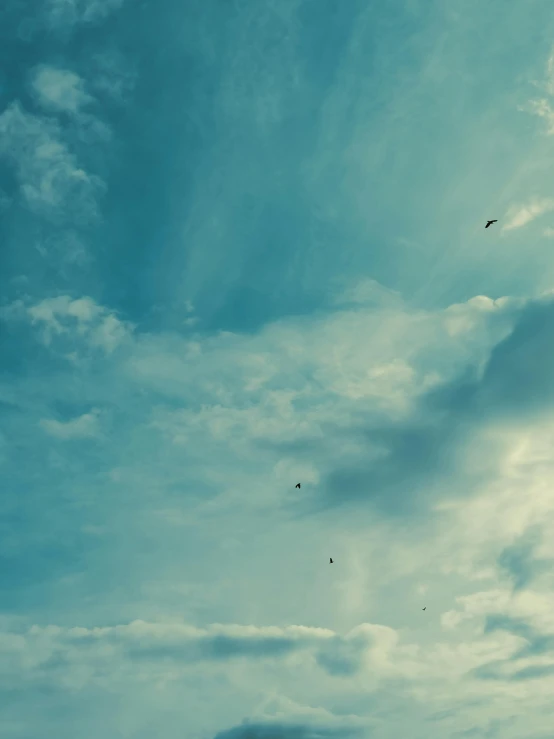 two birds fly on a cloudy sky above a beach